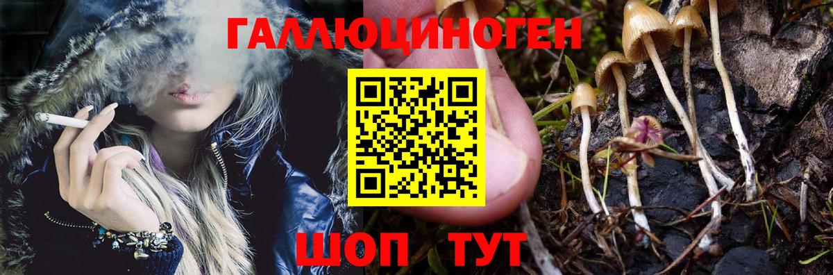 Галлюциногенные грибы MAGIC MUSHROOMS Якутск