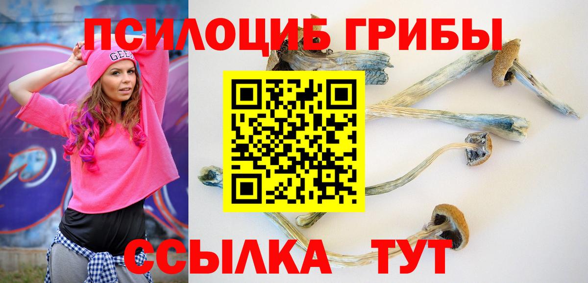 Галлюциногенные грибы Psilocybine cubensis  Псилоцибиновые грибы мухоморы  Якутск  Вход с VPN 